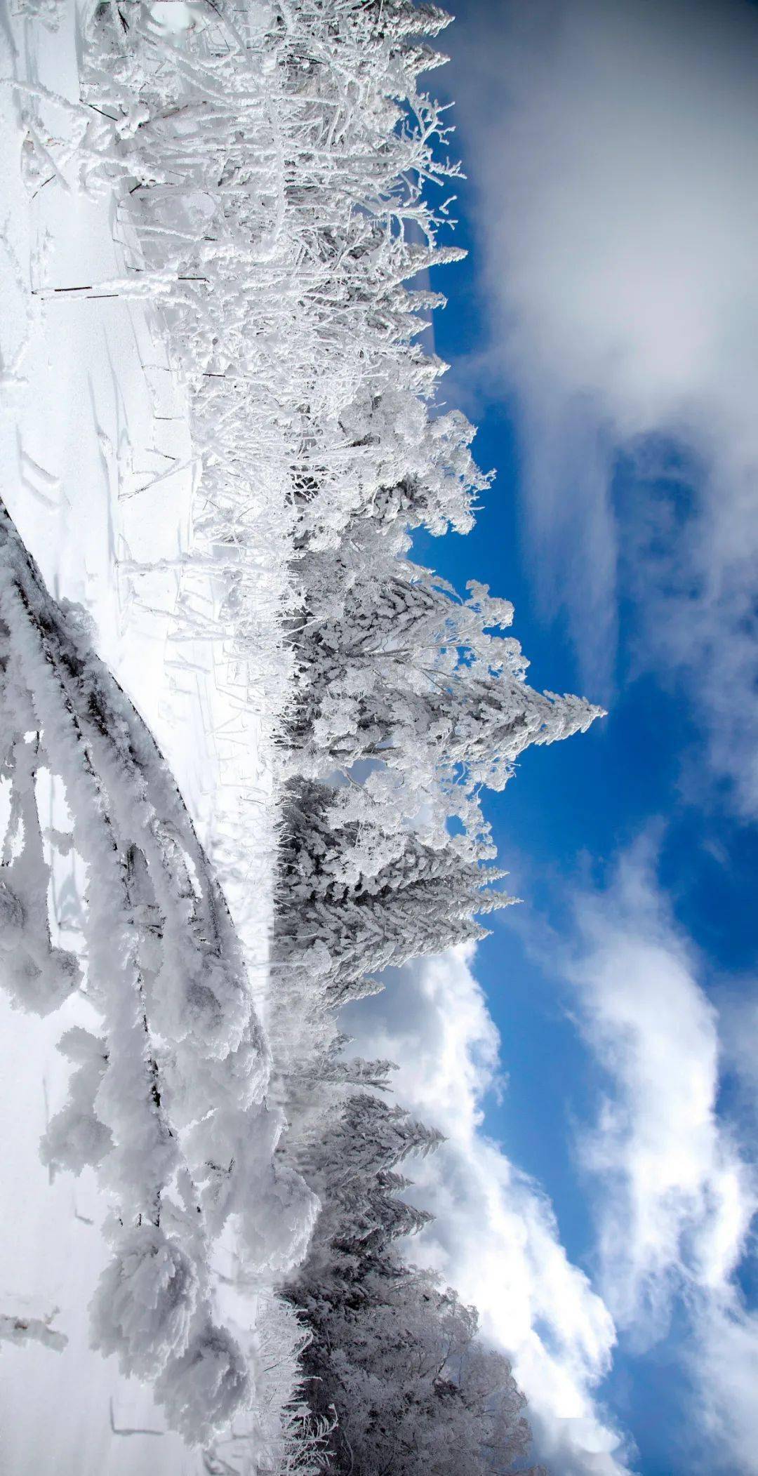 大美雪岭梦幻之旅