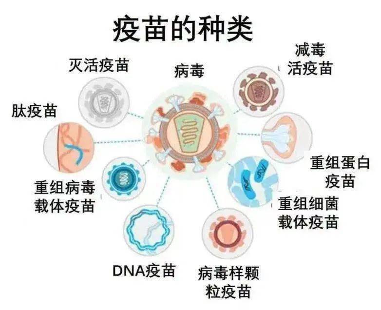 委宣布:我国目前有5条疫苗研发技术路线在同步开展,分别是灭活疫苗