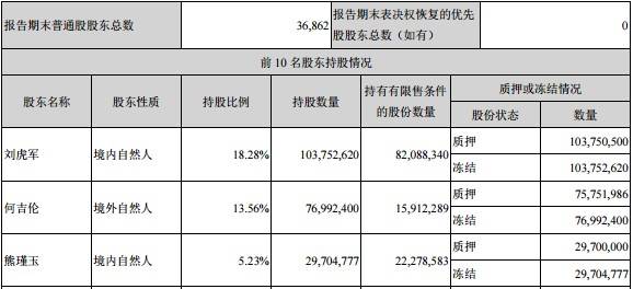 联建光电财务总监涉嫌非法吸收公众存款被刑拘公司业绩