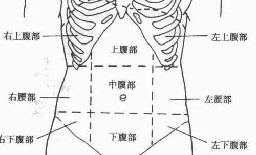 人体腹部按照  九分法被分为如下图的9个区域,以便于描述疼痛,肿胀