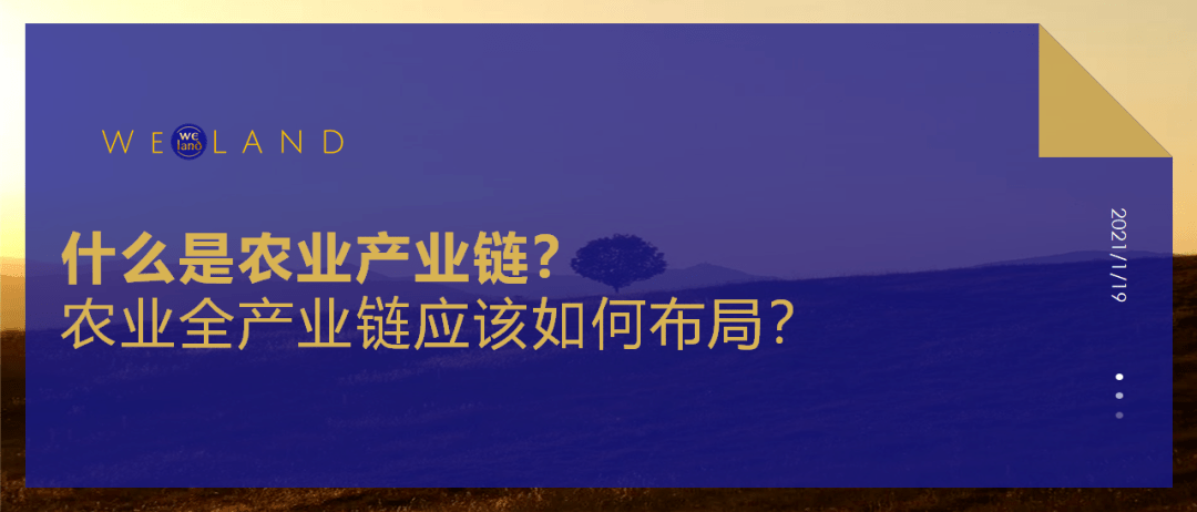 什么是农业产业链?农业全产业链应该如何布局?