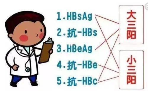 什么是大小三阳?