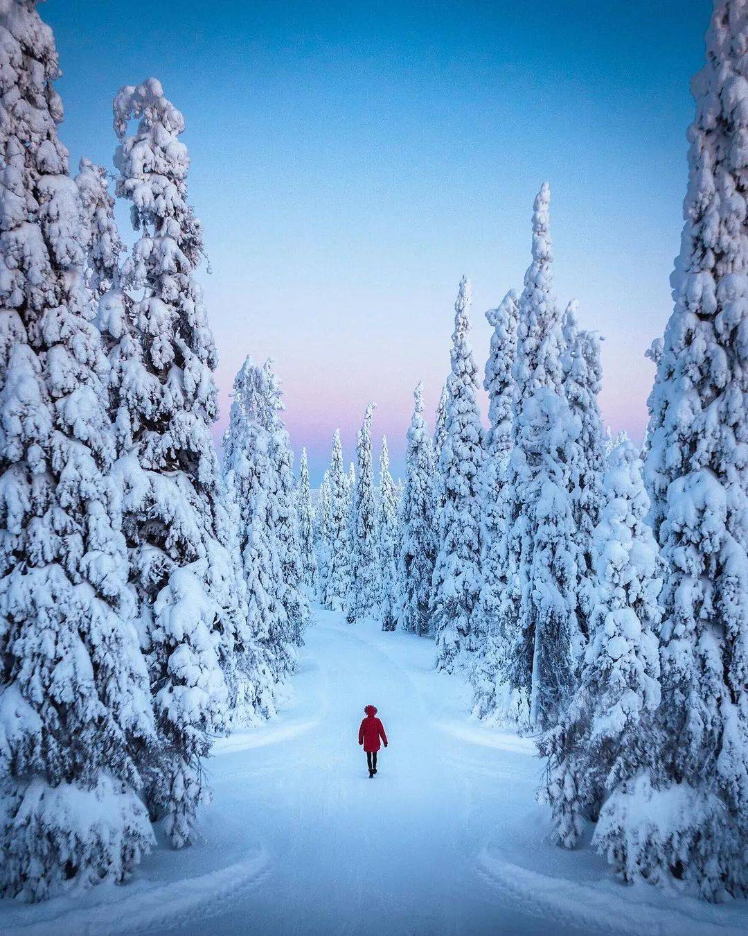 100张最美的冰天雪地_雪景