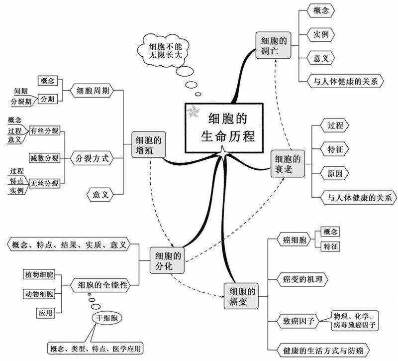 学霸整理20张初中生物思维导图最全版本