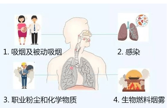 科普篇——慢性阻塞性肺疾病