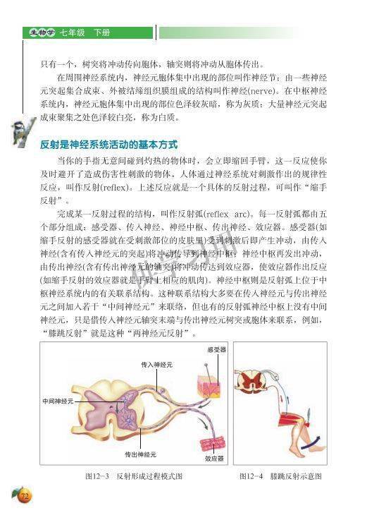 电子课本初中生物北师大版七年级下册电子课本高清版