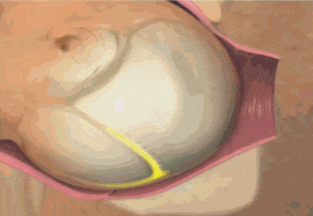 3d还原女性分娩过程,再也不敢说生孩子容易了