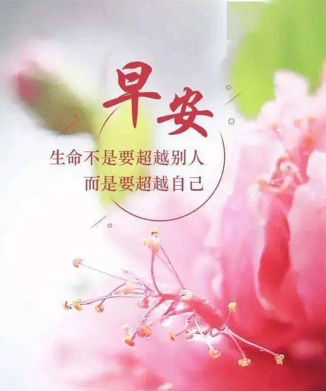 聊天不用打字的祝福图片,相识靠缘分,相处靠珍惜!