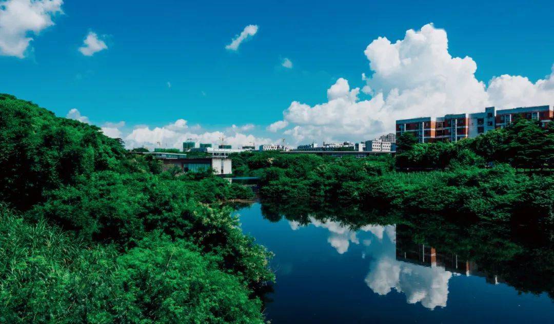 东莞理工学院2021年普通专升本(专插本)招生简章公布!