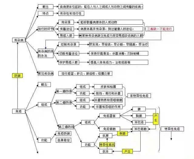 生物思维导图大全_绿色植物