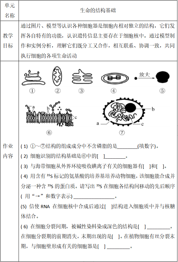 作业设计策略基于核心素养的高中生物单元作业设计付洪波