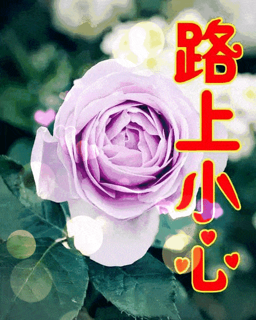 早上好,一曲《真心的祝福》送给我的朋友,祝你幸福相伴!