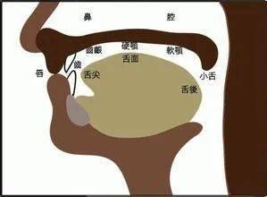 我们唱歌的时候就一定要学会鼻腔共鸣,但是又不能像感冒时那样,否则