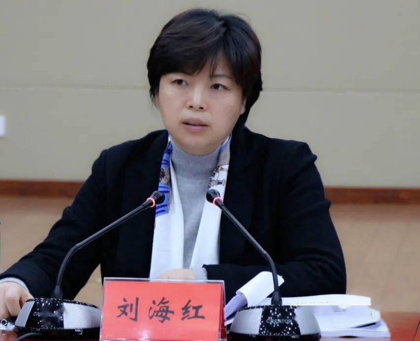 宿豫区委书记,宿迁高新区党工委书记刘海红主持会议并作点评讲话,市委