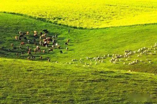 【周末佳片有约】纪录片《中国》(上,下集)---我深爱