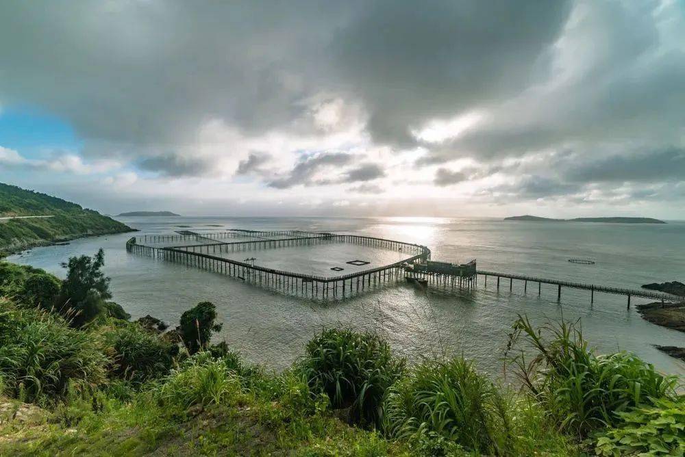 【我在台州过大年】春节来打卡东海明珠4a景区大陈岛!