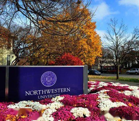 美国西北大学northwestern university全线上授课课程