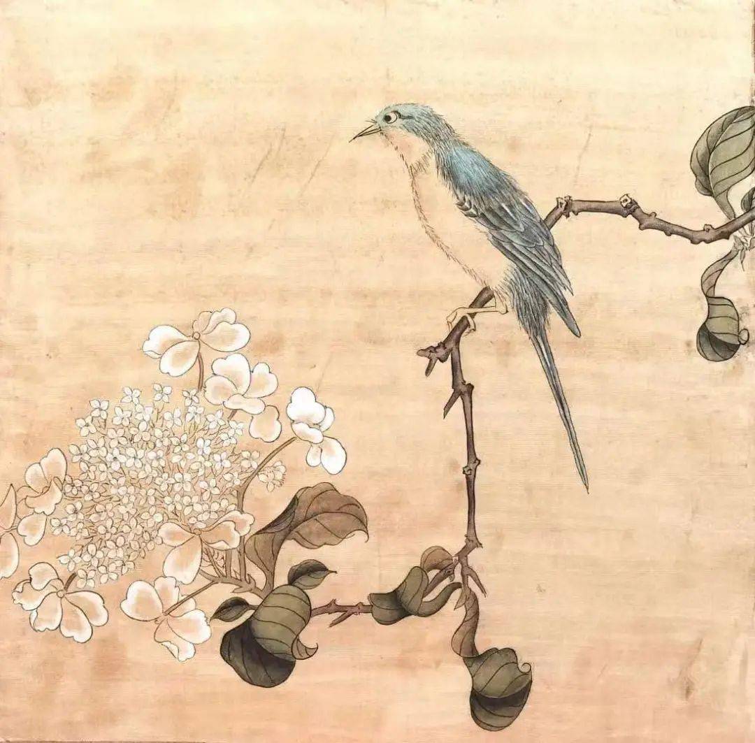 唐博(临摹作品)《琼花翠禽图》( 25.9cm×23.