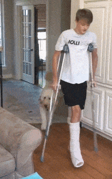 狗子突然变瘸子,医生的话让主人泪流满面:它竟然是在同情我!