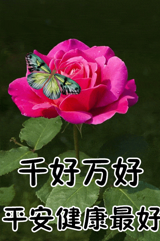 1月25日最漂亮早上好动态表情图片大全,早晨好动图美图大全
