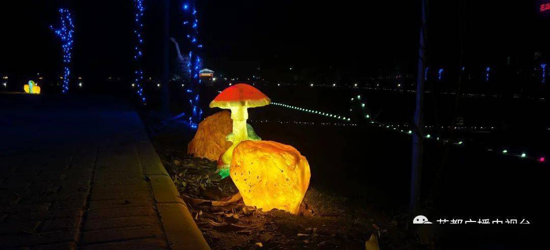 行走花都|红山村"亮"了!来看最美乡村的夜景