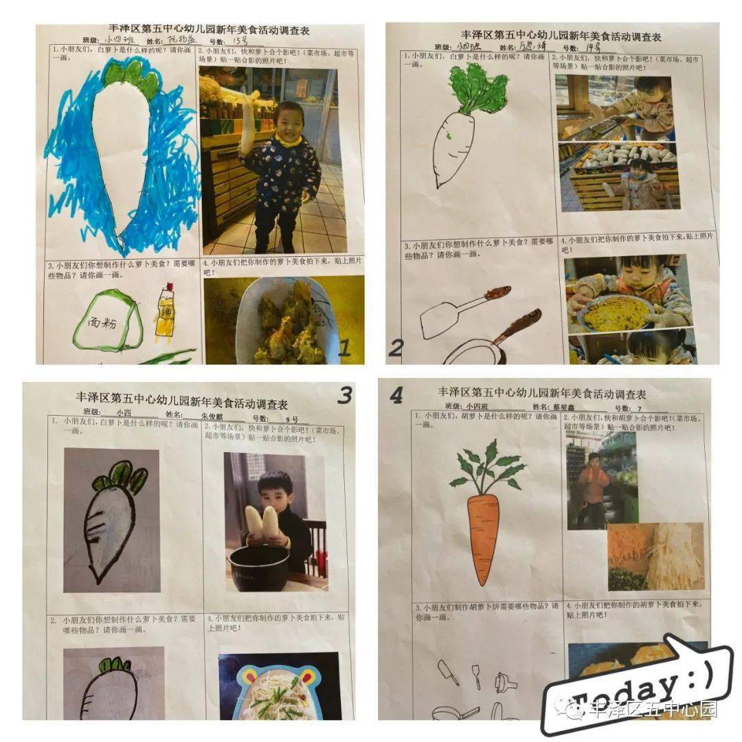 经过和爸爸妈妈一起调查后发现,白萝卜是长在泥土下面的,上面是它的