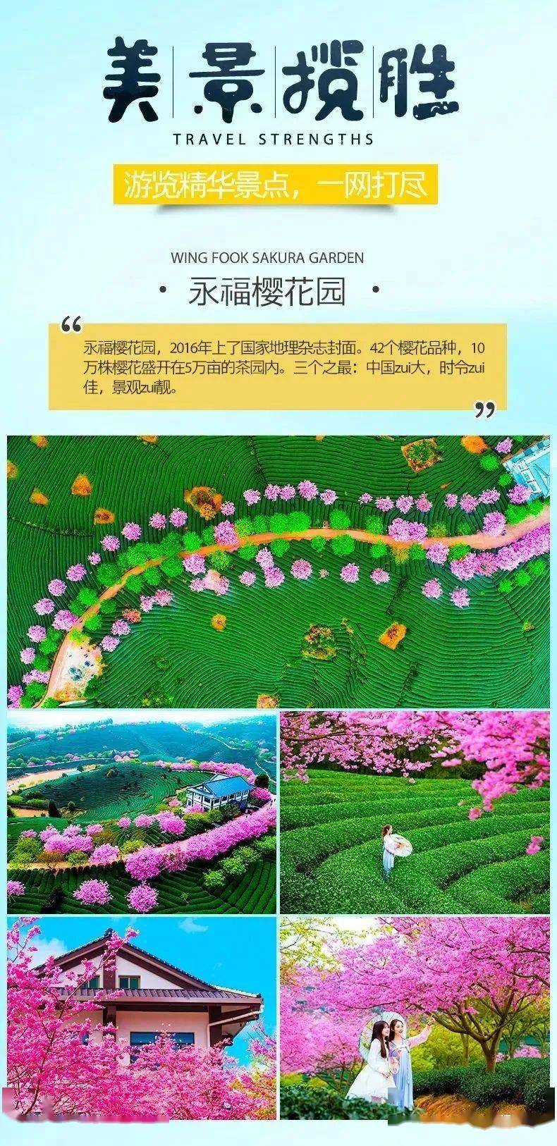【金牛贺春|畅游方特】东方神画&梦幻王国2园畅游/浪漫永福樱花园
