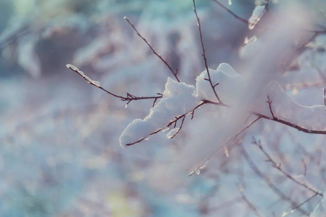 对雪 杜甫 战哭多新鬼,愁吟独老翁. 乱云低薄暮,急雪舞回风.