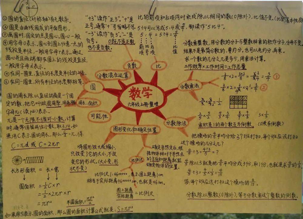 复习有新招:思维导图演绎数学新世界