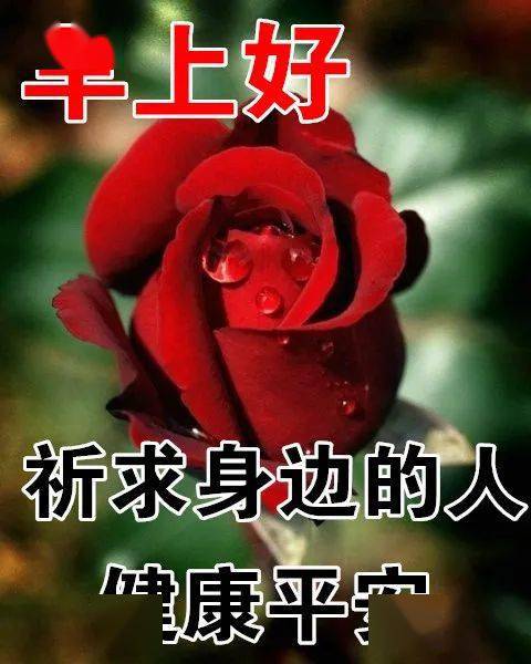 1月29日最漂亮早上好动态表情图片大全,早晨好动大全