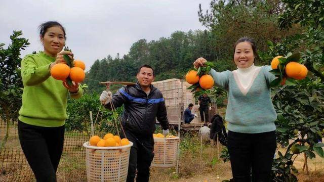 百度掀起电商助农新战争