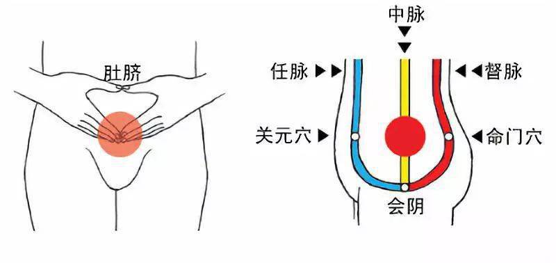 关于气沉丹田的心法口诀