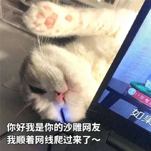 第68期喵表情 | "内有69只萌猫,谨慎进入!"_包字