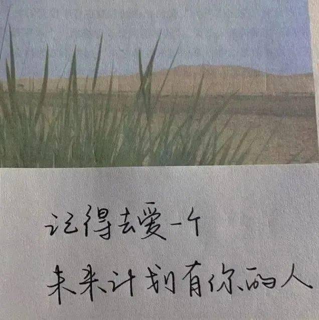 朋友圈背景图