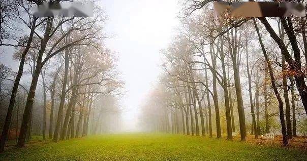 风一程,雨一程,人生的路,风雨兼程