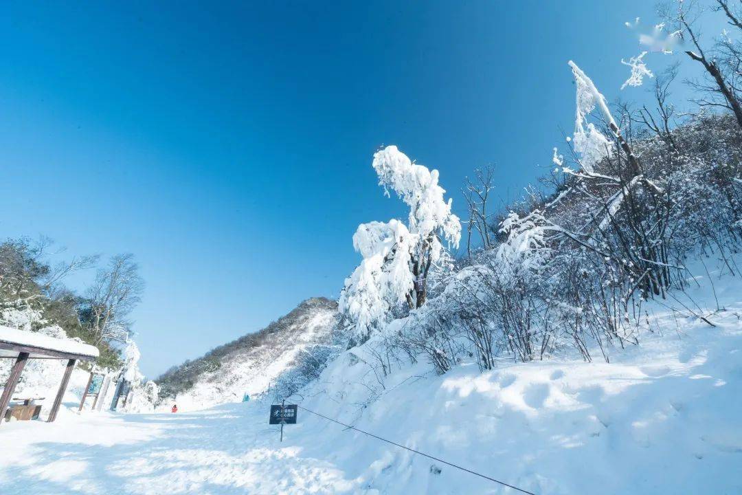 冬天的主题那当然就是滑雪 最近九皇山又开始下大雪啦 你看大雪在向你