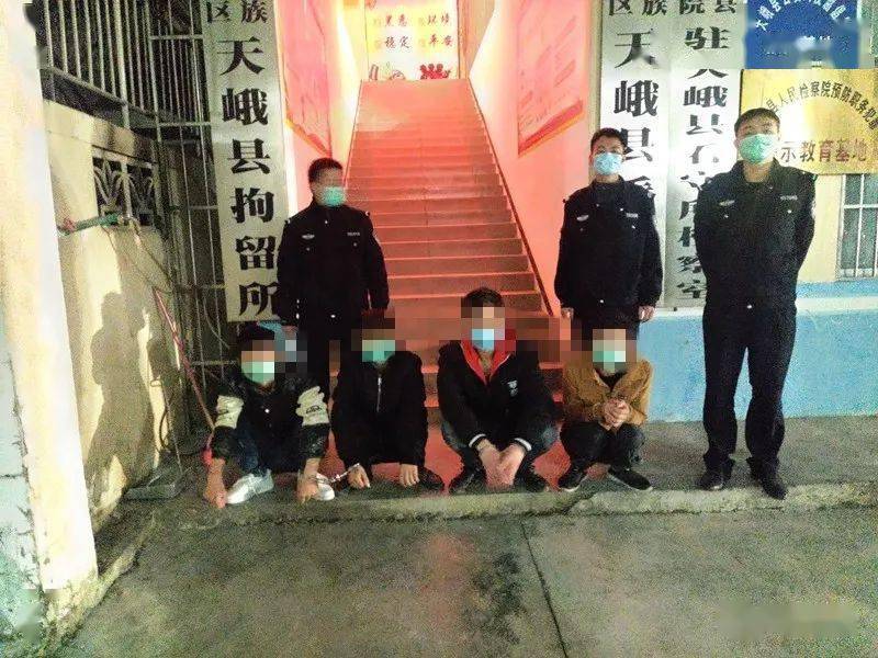 天峨警方抓获卖淫嫖娼赌博等违法犯罪人员17人