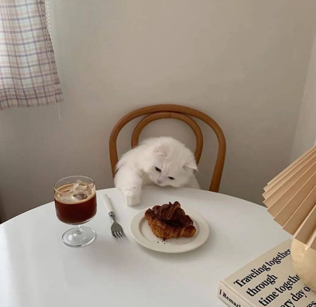 征集| 听说 你家的萌宠快占满你的手机内存了