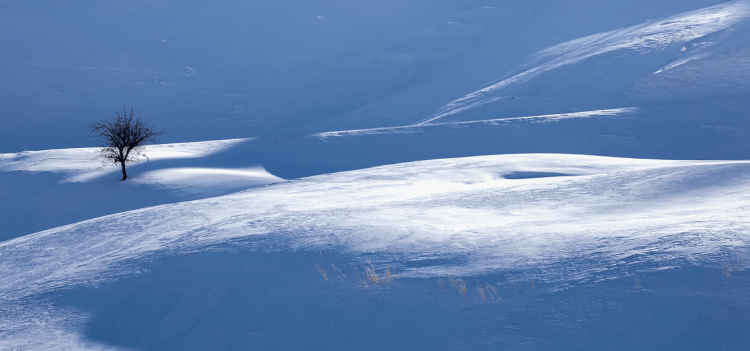 张立新 大连73 【北京民谣】文/原驰 注明出处除外 编辑/原驰图片