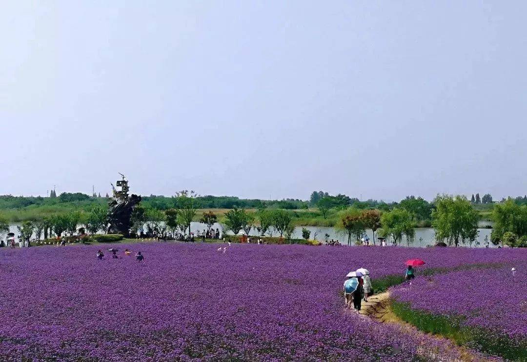 大浦乡村世界