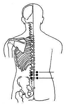 肾俞穴,大肠俞