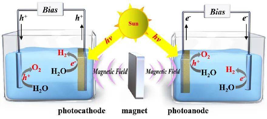 催化更高效的光电分解水方法磁场辅助光电化学分解水