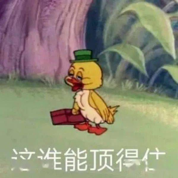 聊天表情包:做人不拽,等着被甩