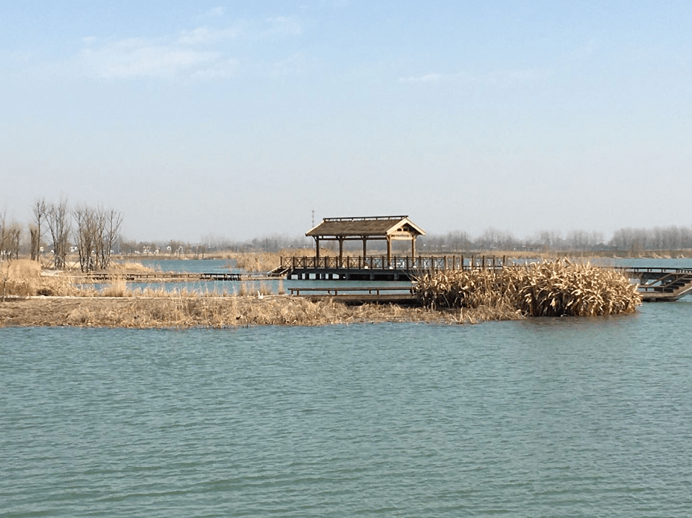 扬州北湖湿地公园今年有望建成开放,一起瞧瞧长啥样?