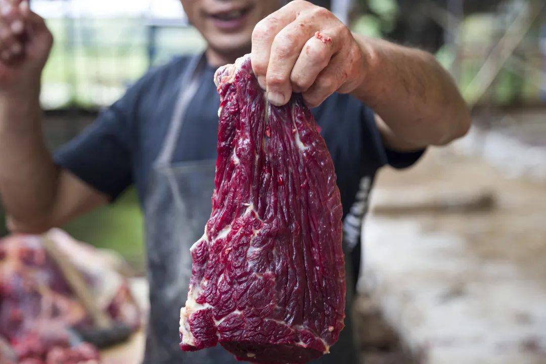 黄牛肉的特点: 高蛋白 肉质细 低脂肪 香味浓