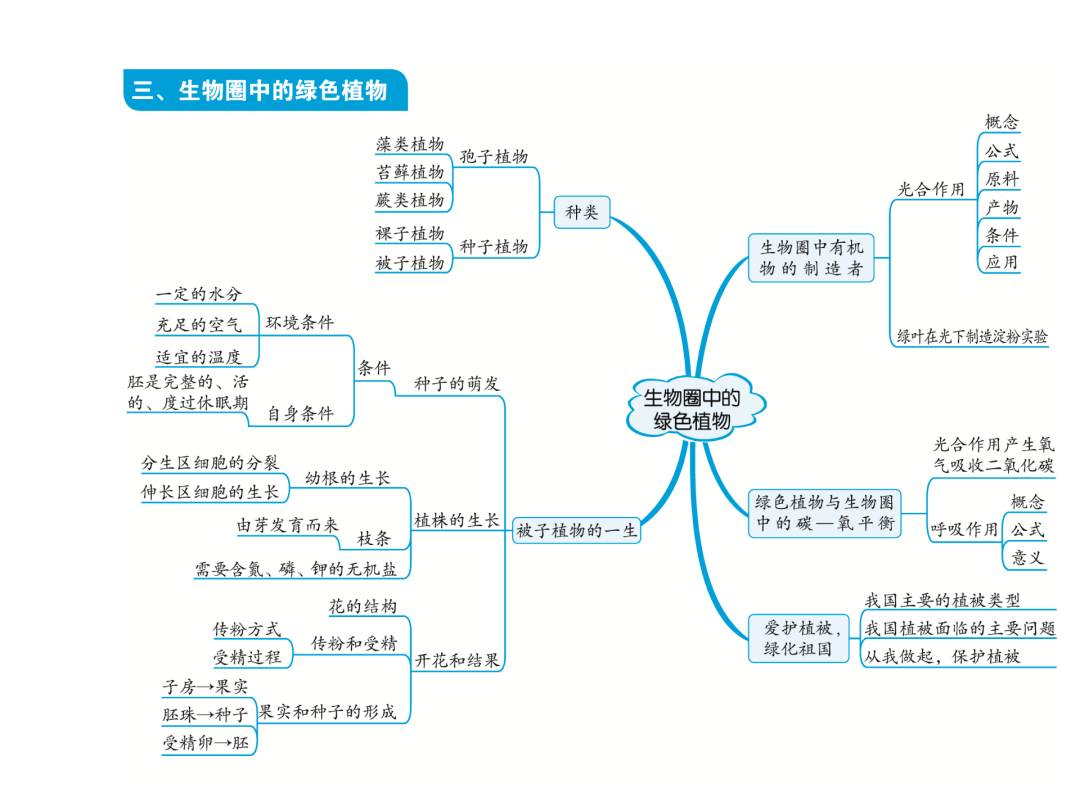 初中生物中考复习知识点思维导图