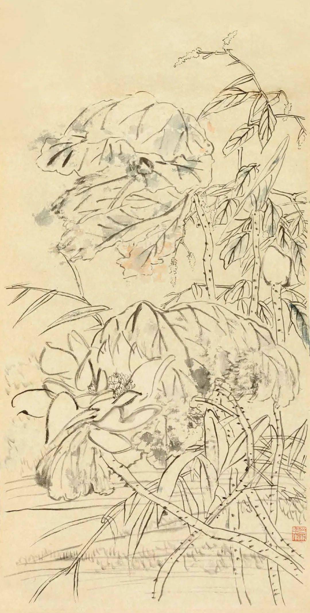陆抑非白描花鸟课徒稿(53图)