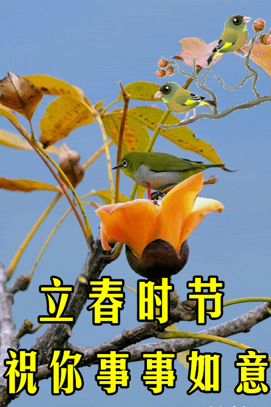 2月3日立春最漂亮早上好动态表情图片大全,早晨好动图美图大全