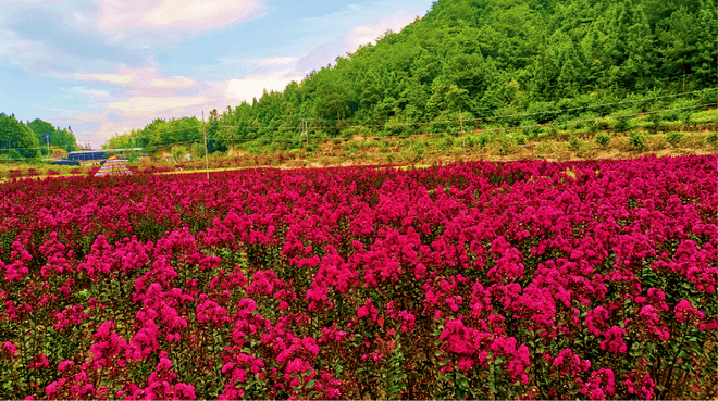 古田钱来山风景区打造全国首个钱文化旅游景区