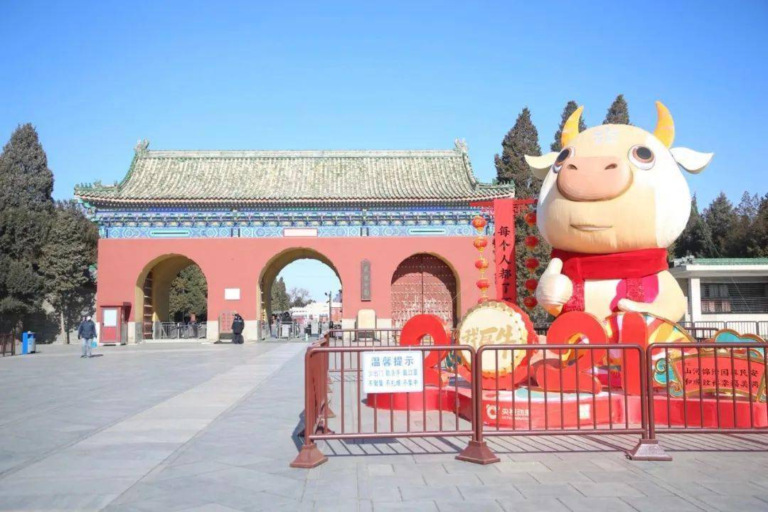 1万个,中国结近2000个,布置道旗,彩旗900余面,还用